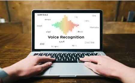 biometric voice recognition