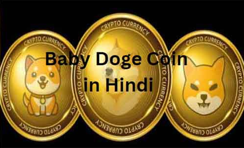baby doge coin in hindi