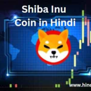 shiba inu coin in hindi